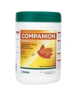 Companion Disinfectant Wipes