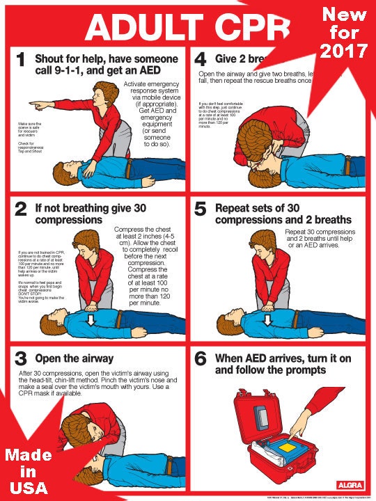 Cpr adult on sale
