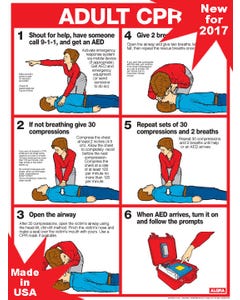 Chart: CPR for Adults